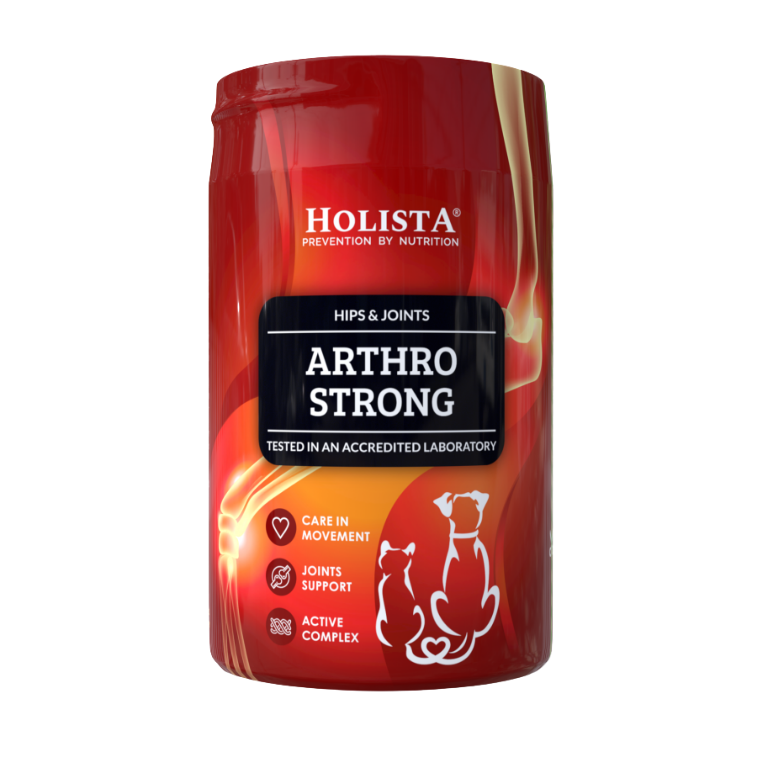 Holista Arthro Strong 200 g 16