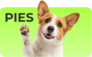  pies_2